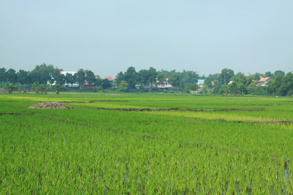 World Heritage Day 2019, Anugerah Putra Turut Menjaga Warisan Pusaka Dunia dengan SISMIOP